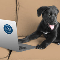 Thumbnail for Beer Is Good. Dogs Are Great. People Are Crazy. 3