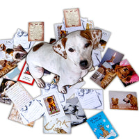 Thumbnail for 24 Card Assortment *CARDS ONLY*