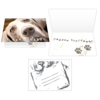 Thumbnail for Birthday - I Smell Cake