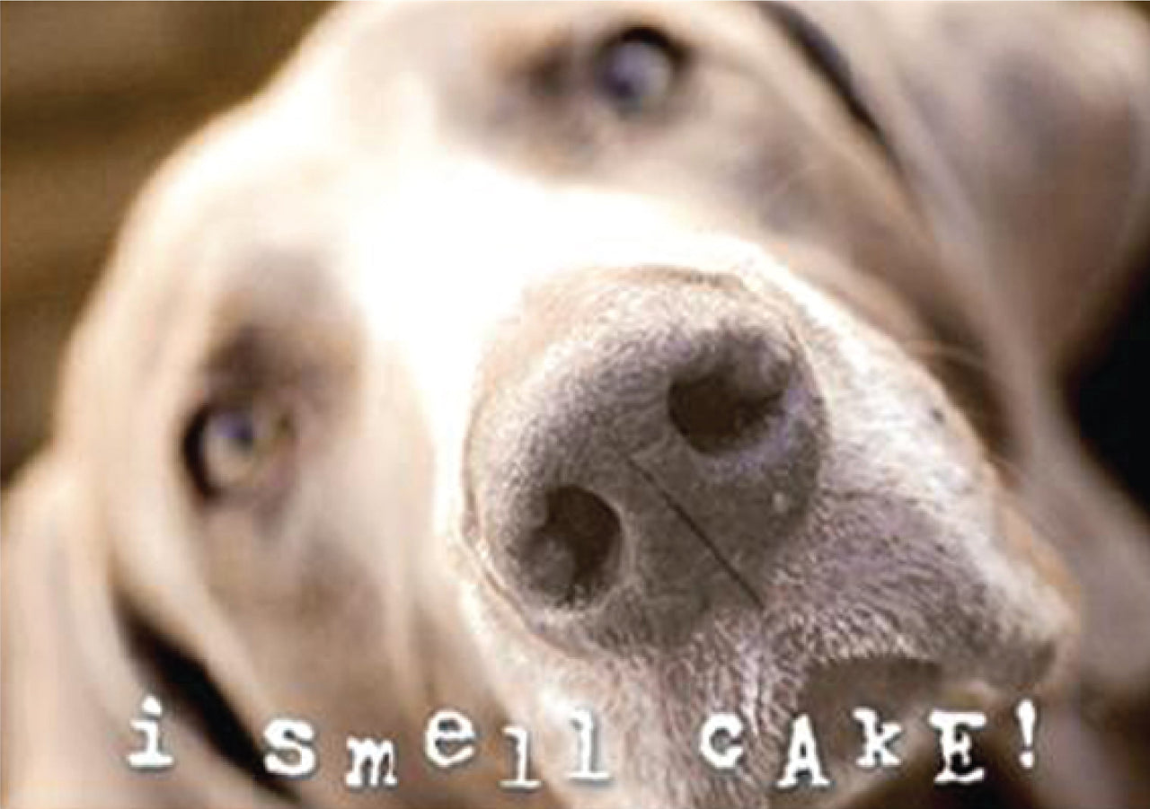 Birthday - I Smell Cake