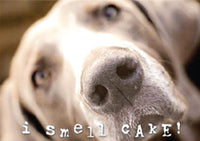 Thumbnail for Birthday - I Smell Cake