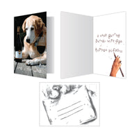 Thumbnail for Birthday - Like a Fine Wine