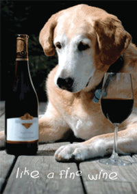 Thumbnail for Birthday - Like a Fine Wine