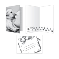 Thumbnail for Love - Love Is All You Need