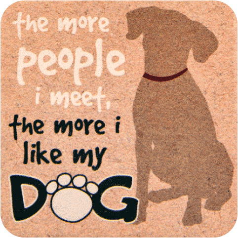 Absorbent Stone Coaster Assortment w/ Display!