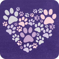 Thumbnail for Absorbent Stone Coaster Assortment w/ Display!