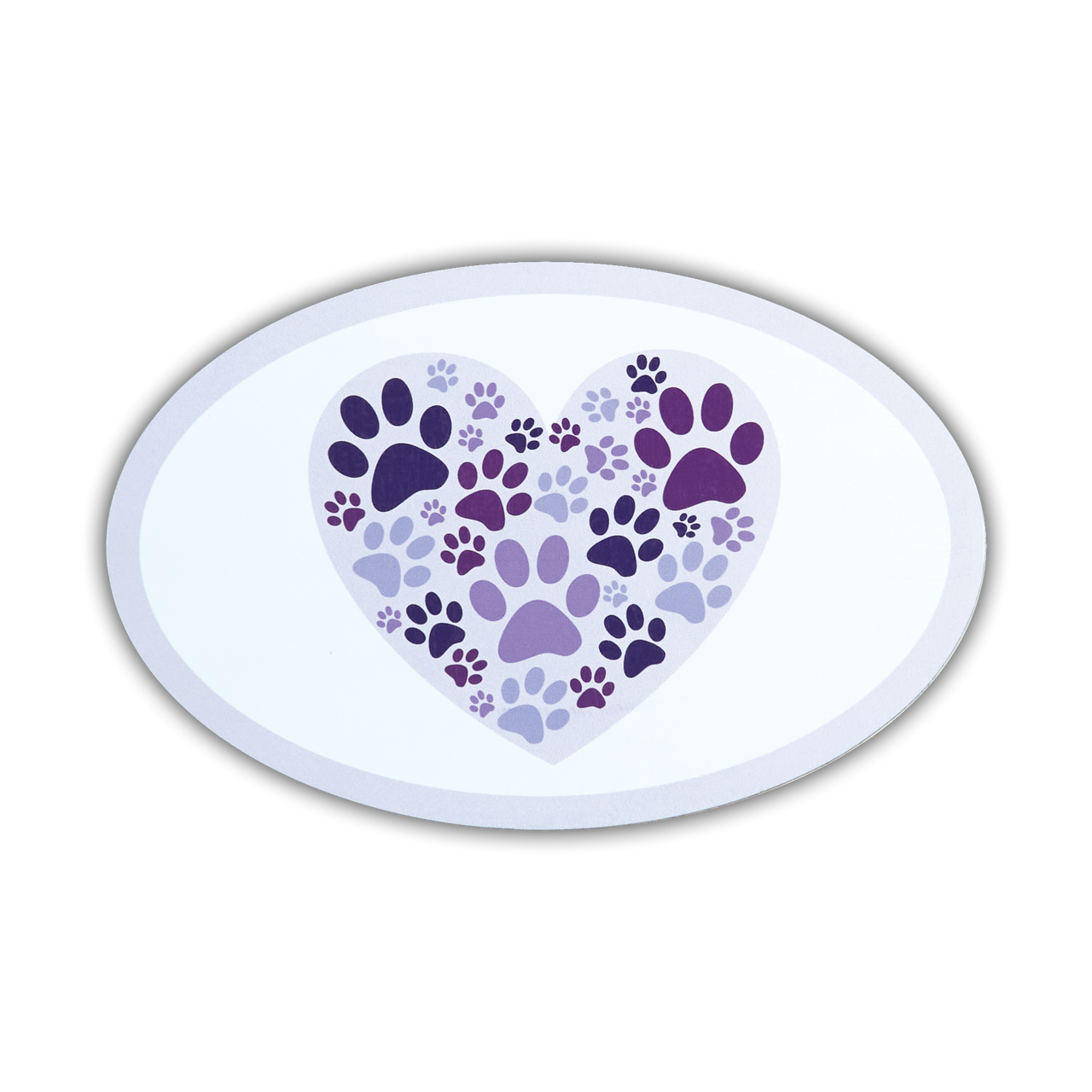 Oval Shaped Magnet Assortment