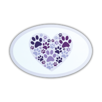Thumbnail for Oval Shaped Magnet Assortment