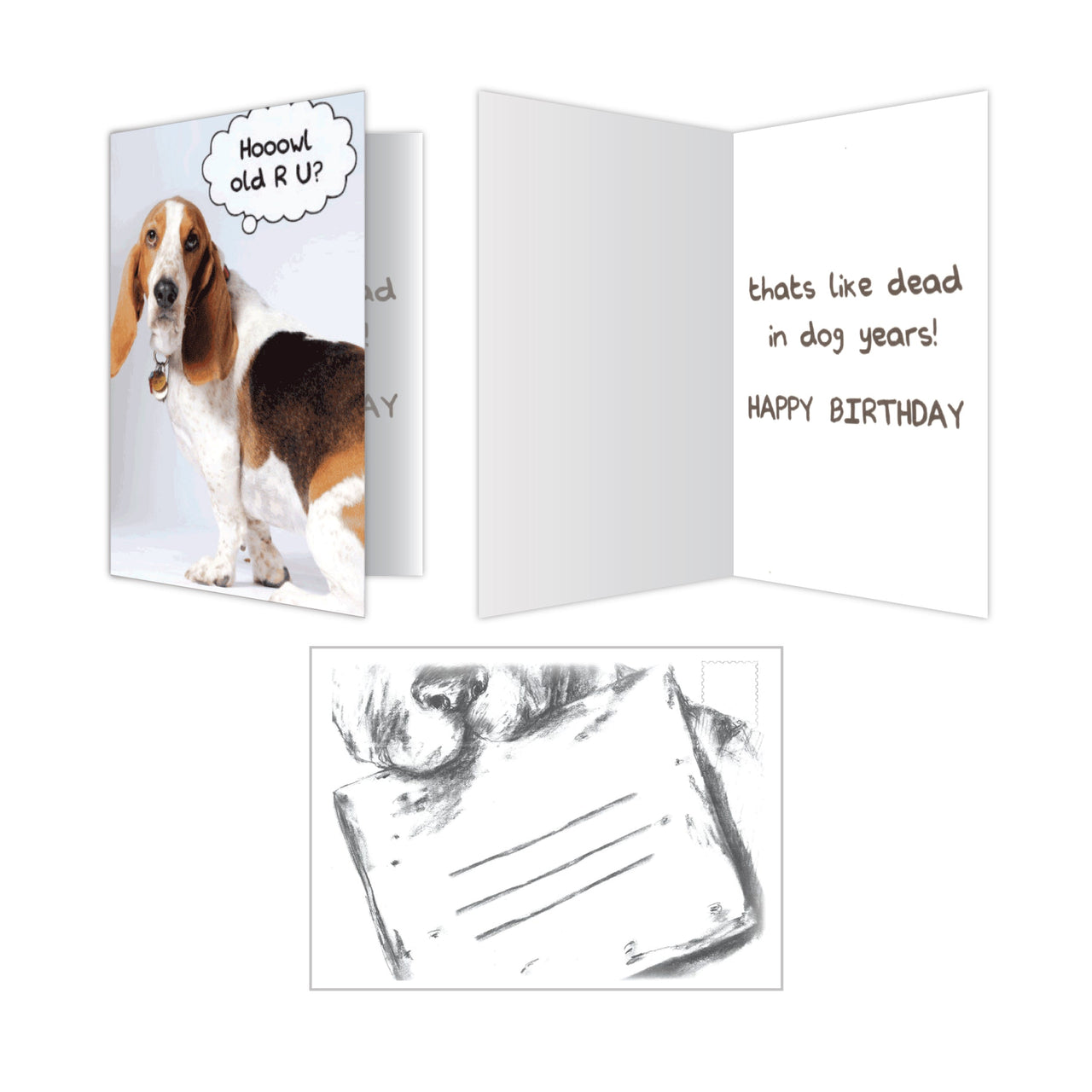 Birthday - Hoowl Old-R-U?
