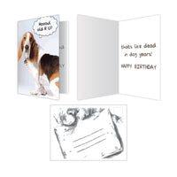 Thumbnail for Birthday - Hoowl Old-R-U?