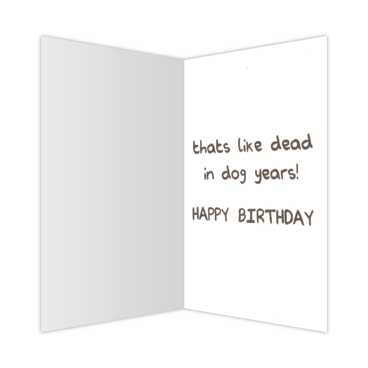Birthday - Hoowl Old-R-U?