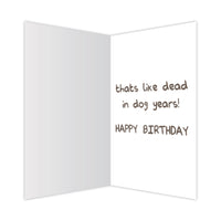 Thumbnail for Birthday - Hoowl Old-R-U?