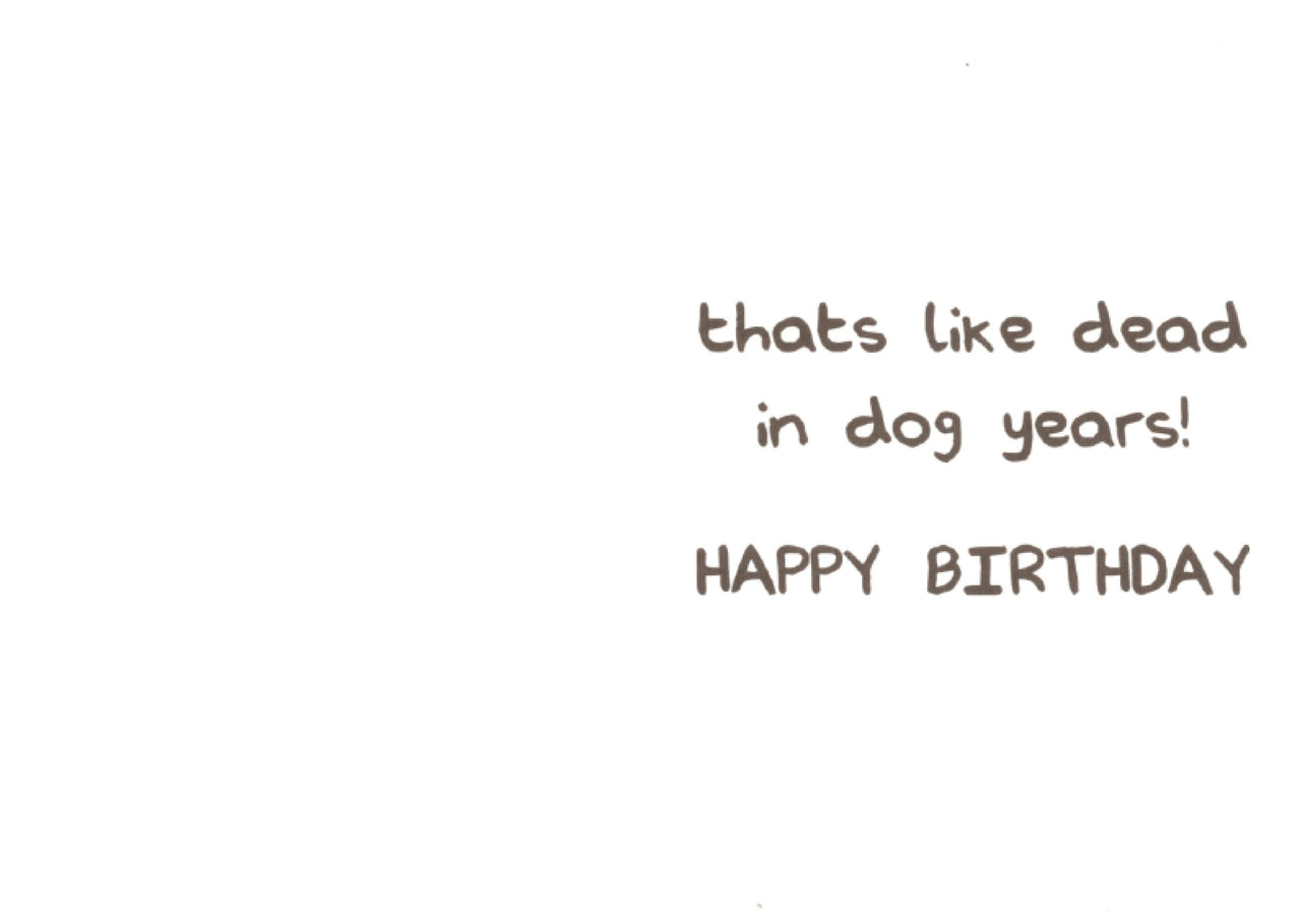 Birthday - Hoowl Old-R-U?