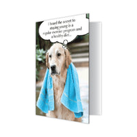 Thumbnail for Birthday - Secret to Staying Young