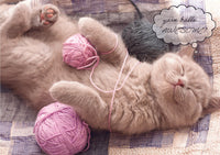Thumbnail for Birthday Cat - Yarn Balls...AWESOME!