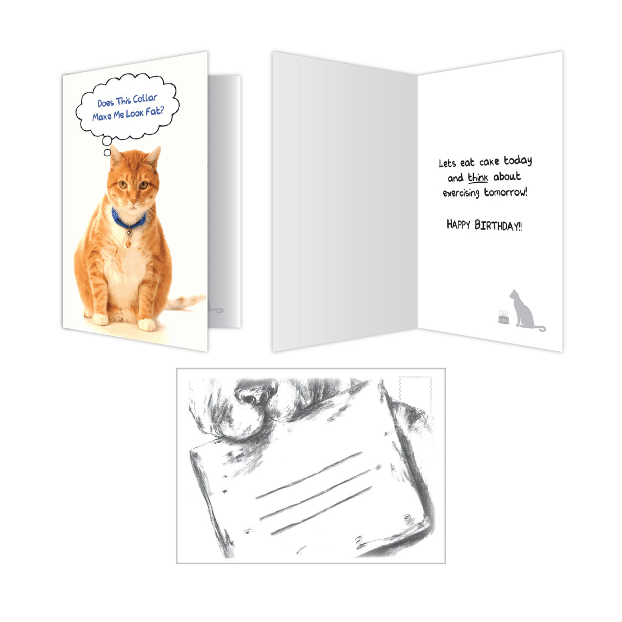 Birthday Cat - Does This Collar