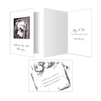 Thumbnail for Birthday - Wherever the Road...