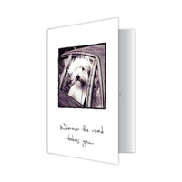 Thumbnail for Birthday - Wherever the Road...