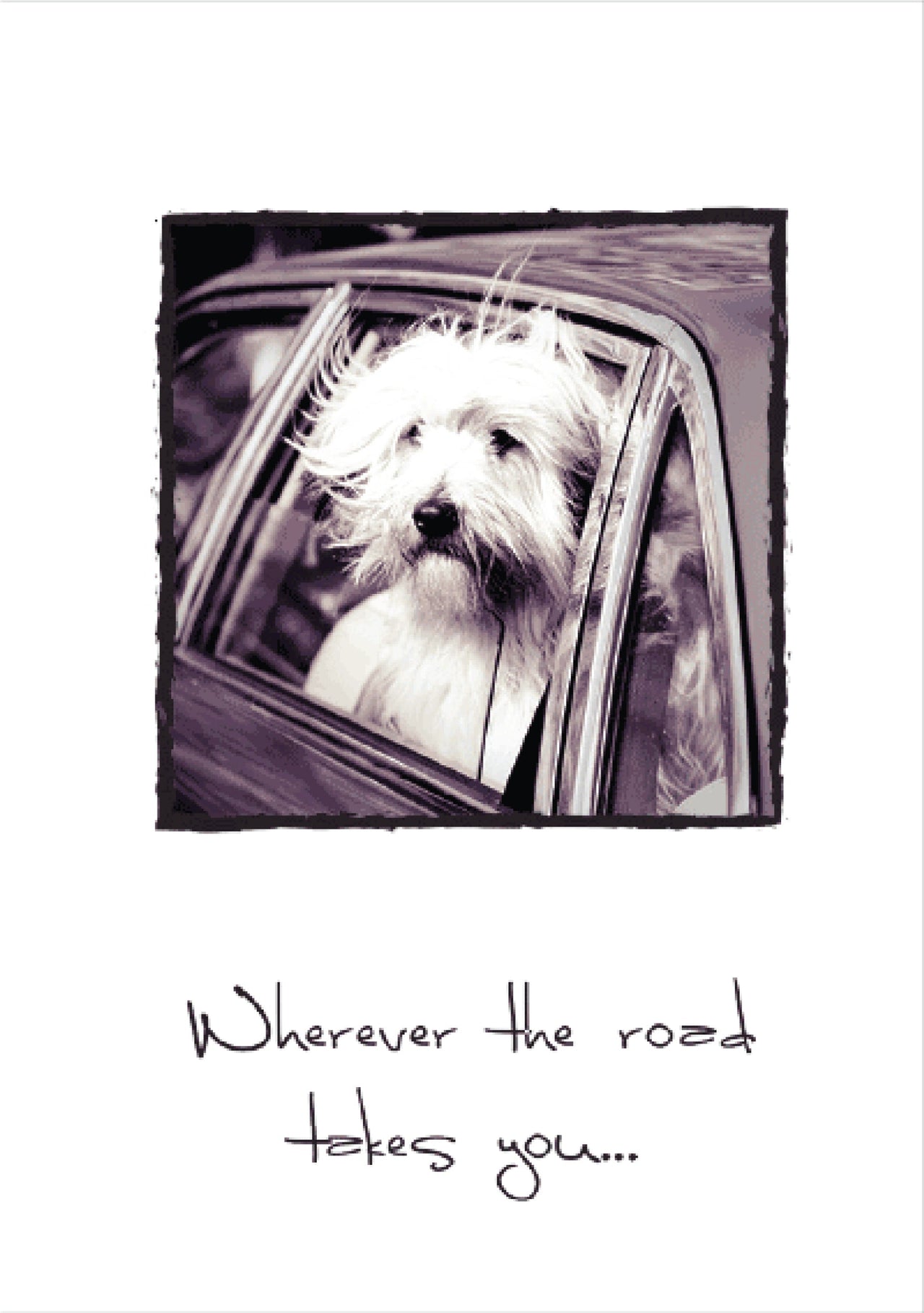 Birthday - Wherever the Road...