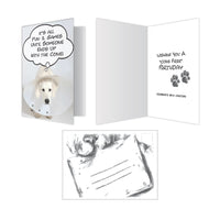 Thumbnail for Birthday - Cone Free Birthday