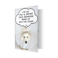 Thumbnail for Birthday - Cone Free Birthday
