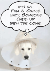 Thumbnail for Birthday - Cone Free Birthday