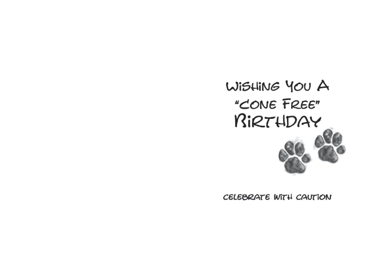 Birthday - Cone Free Birthday
