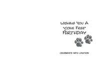 Thumbnail for Birthday - Cone Free Birthday