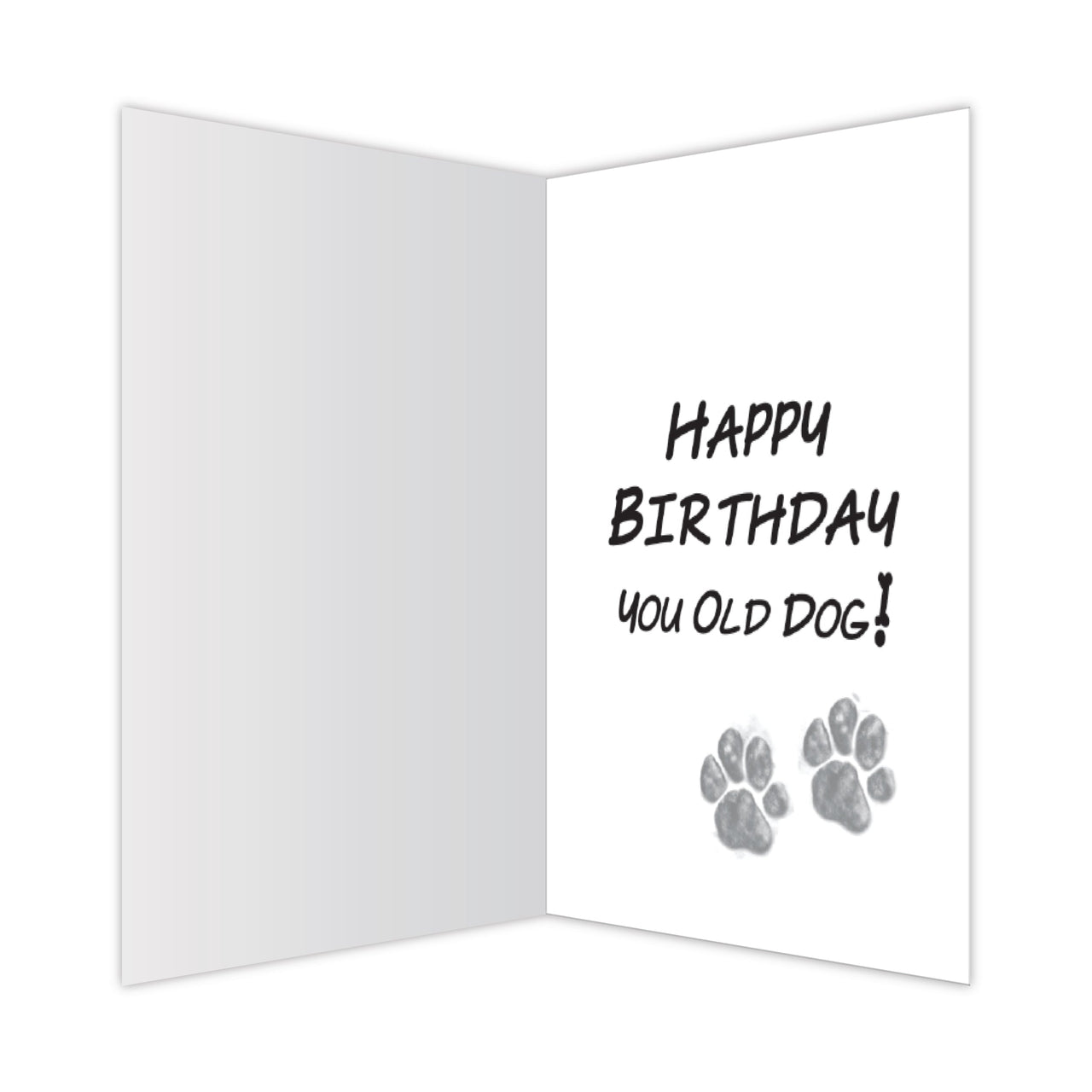 Birthday - I Smell An old Person