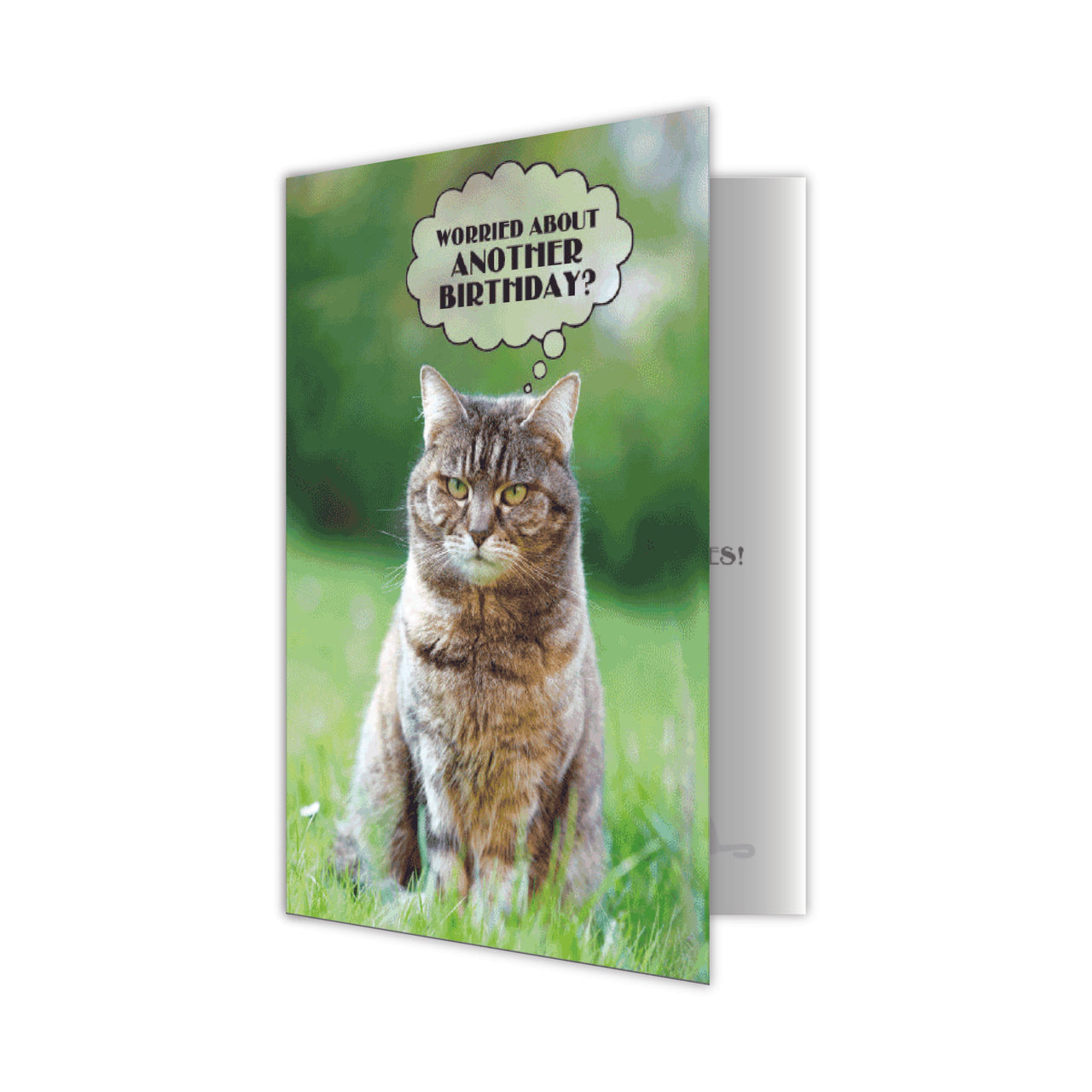 Birthday Cat - 9 Lives