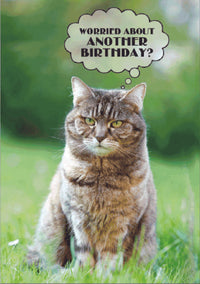 Thumbnail for Birthday Cat - 9 Lives