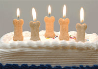 Thumbnail for Birthday - Bone Candles