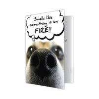 Thumbnail for Birthday - I Smell Something