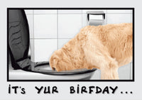 Thumbnail for Birthday - Drink Responsibly