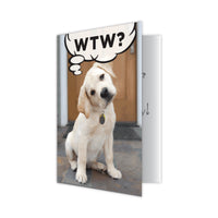 Thumbnail for Birthday - WTW? What the Woof