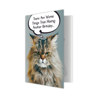 Thumbnail for Birthday Cat - There Are Worse Things