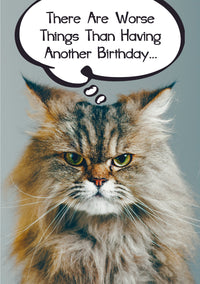 Thumbnail for Birthday Cat - There Are Worse Things
