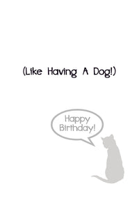 Thumbnail for Birthday Cat - There Are Worse Things