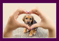 Thumbnail for Love - There is Love