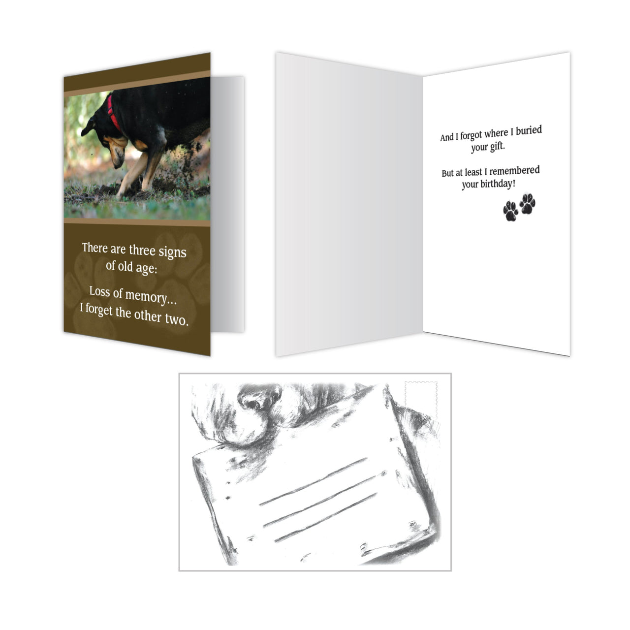 Birthday - Buried Gift