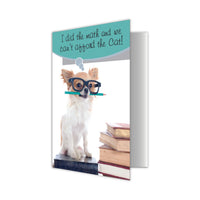 Thumbnail for Birthday - We Can't Afford the Cat