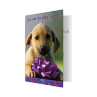 Thumbnail for Birthday - New Puppy Smell