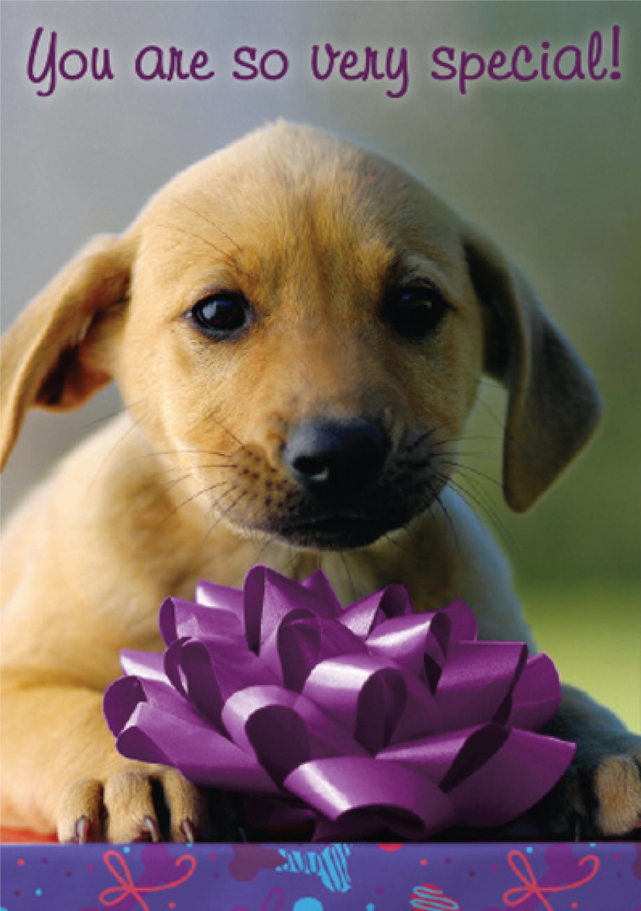 Birthday - New Puppy Smell