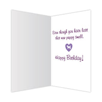 Thumbnail for Birthday - New Puppy Smell