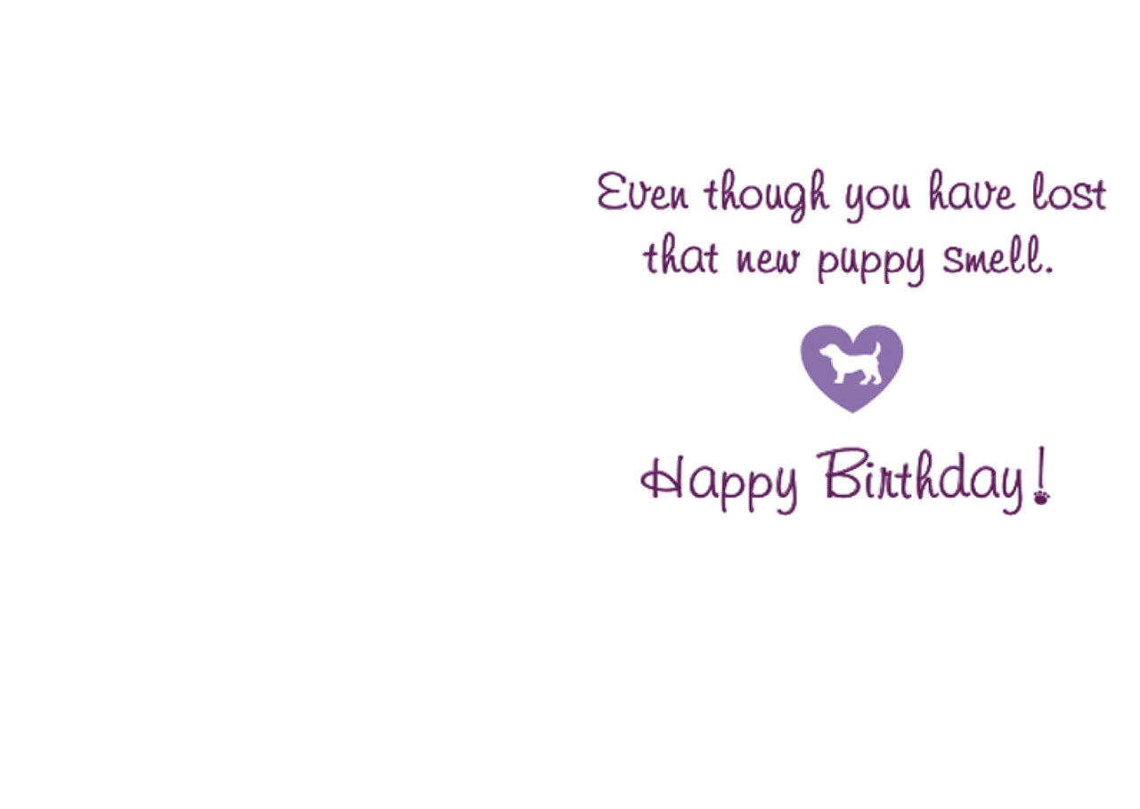 Birthday - New Puppy Smell