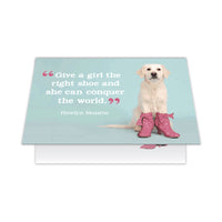Thumbnail for Birthday - The Right Shoe
