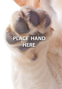 Thumbnail for Encouragement - High Five