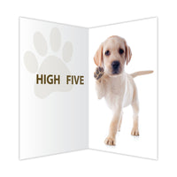 Thumbnail for Encouragement - High Five