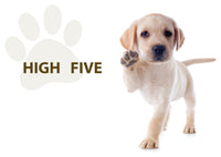Thumbnail for Encouragement - High Five