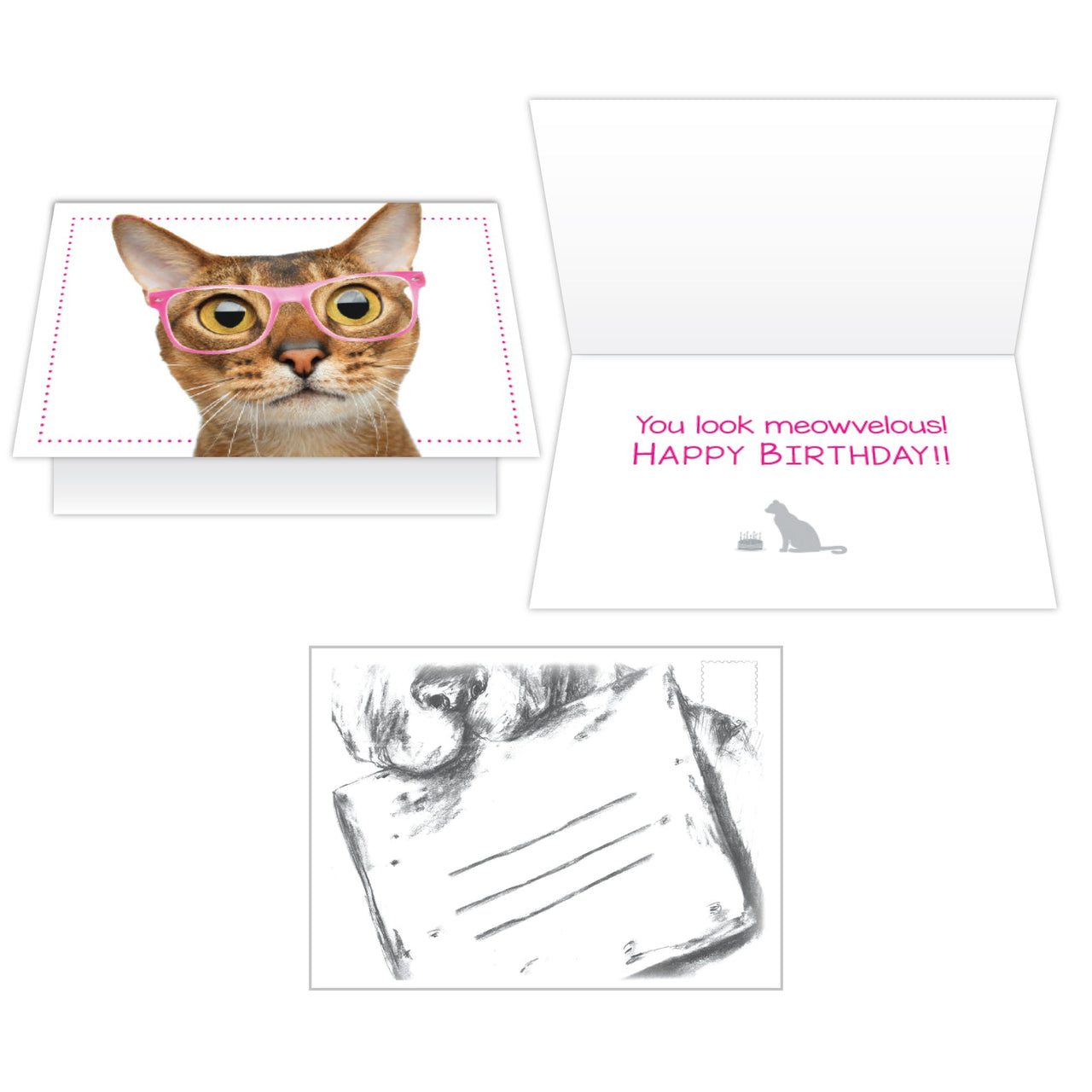 Birthday Cat -You Look  Meowvelous